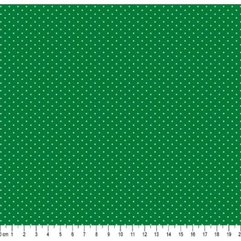 xx_tecido-tricoline-poa-100cmx150-1e63aa4caa3a89a97be4e59227b3167f-6009-0.webp