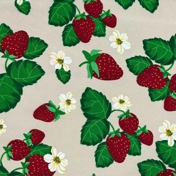 xx_tecido-oxford-estampado-mesa-m-e75b558a34b03cffabb0ab20bf5221aa-6581-0.webp