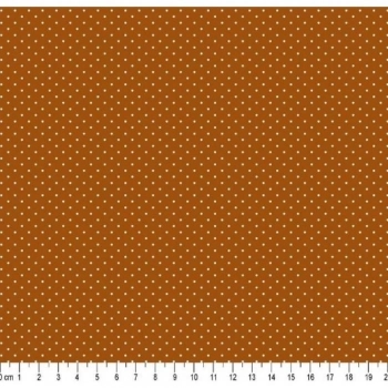 xx_tecido-tricoline-poa-100cmx150-37c007ce1171a04e4a922ddcda7c6c55-6916-0.webp